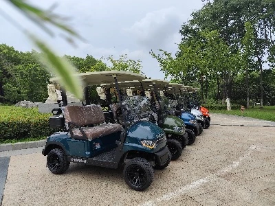 سفارشی HIGH-} End Golf Golf از Türkiye پذیرش را در دسته ها گذشت